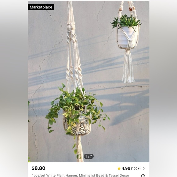 Plant holder - Picture 2 of 2